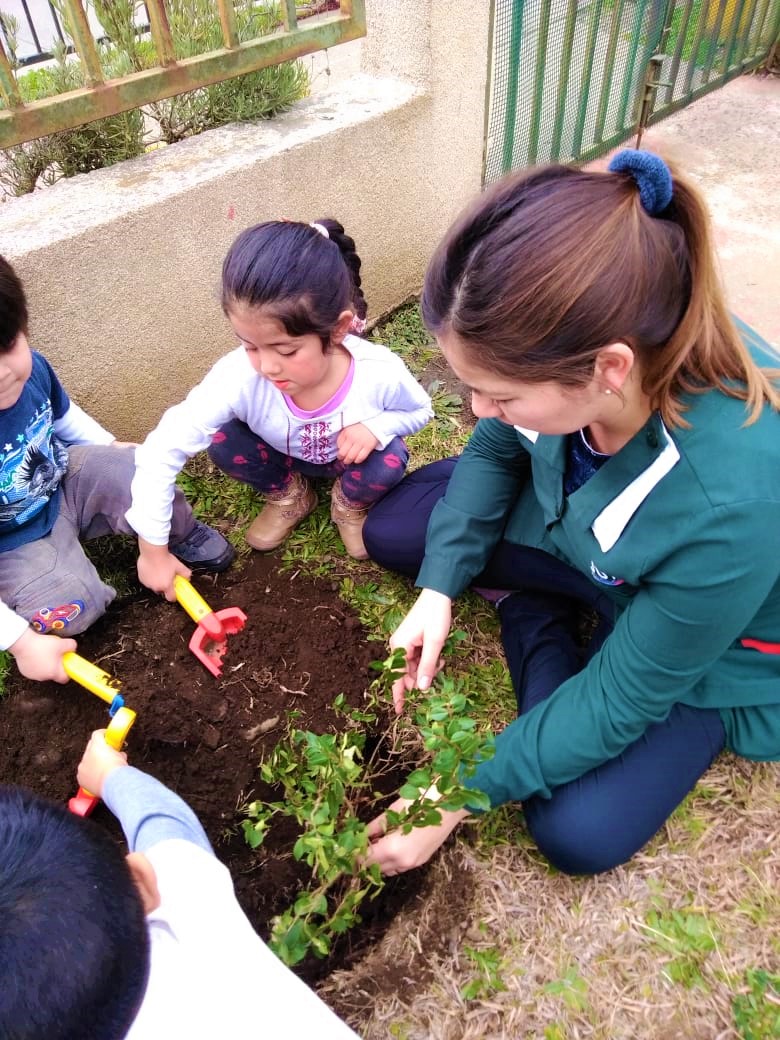 Mi Patio es el Mundo: Proyectos Ganadores