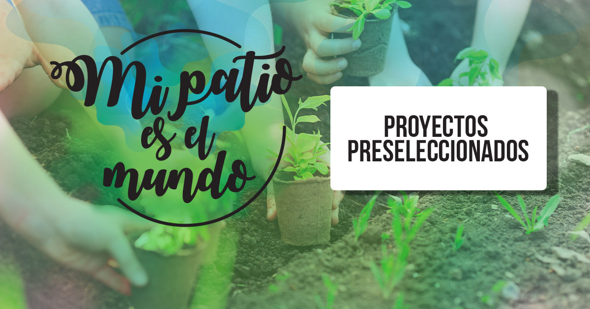 Estos son los proyectos preseleccionados para el premio “Mi Patio es el Mundo” 2023