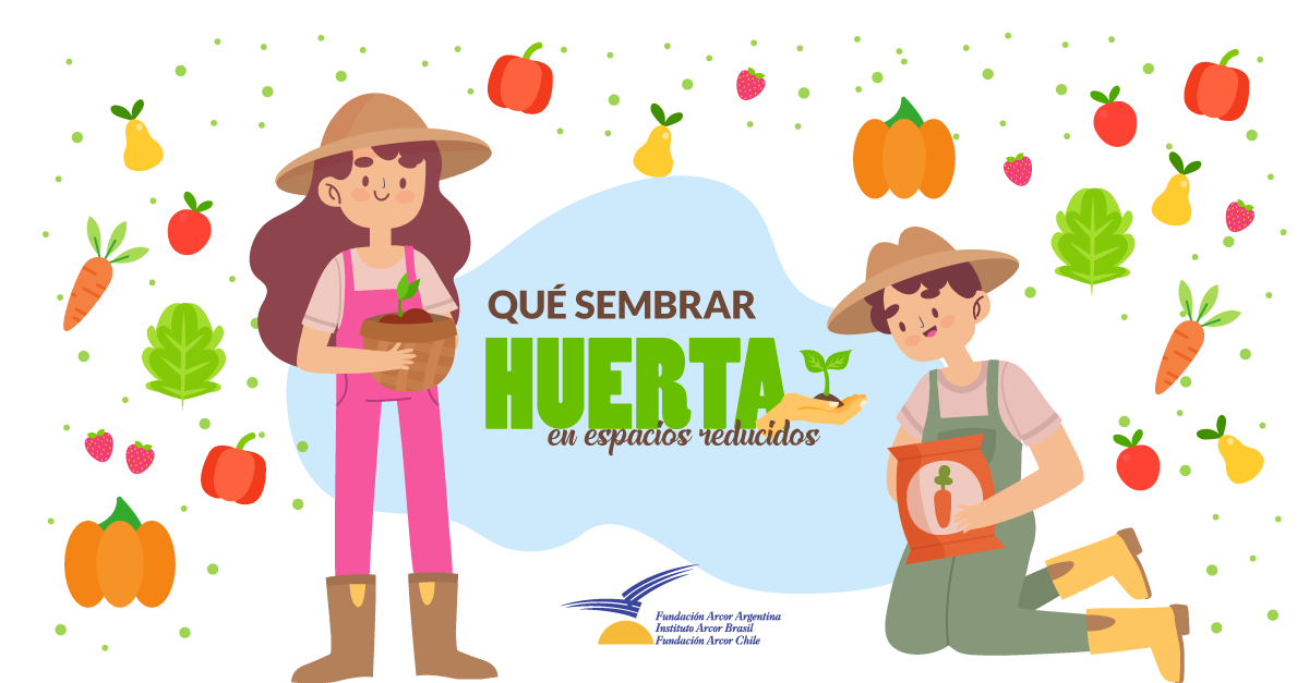 Que sembrar en huertas de espacios reducidos