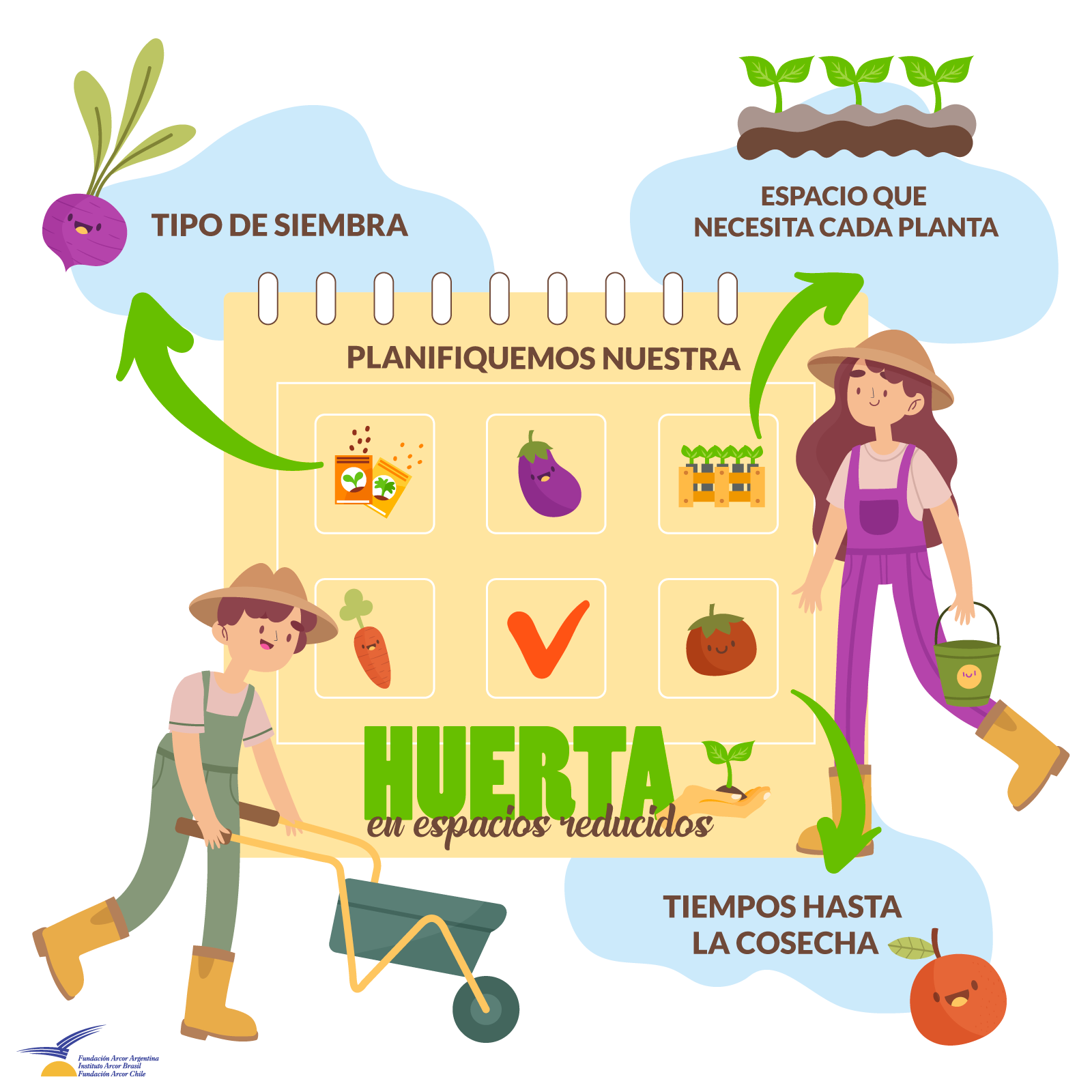 3 consejos para una huerta productiva